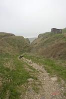 Cjp_2010_04_15_071952 (2).jpg